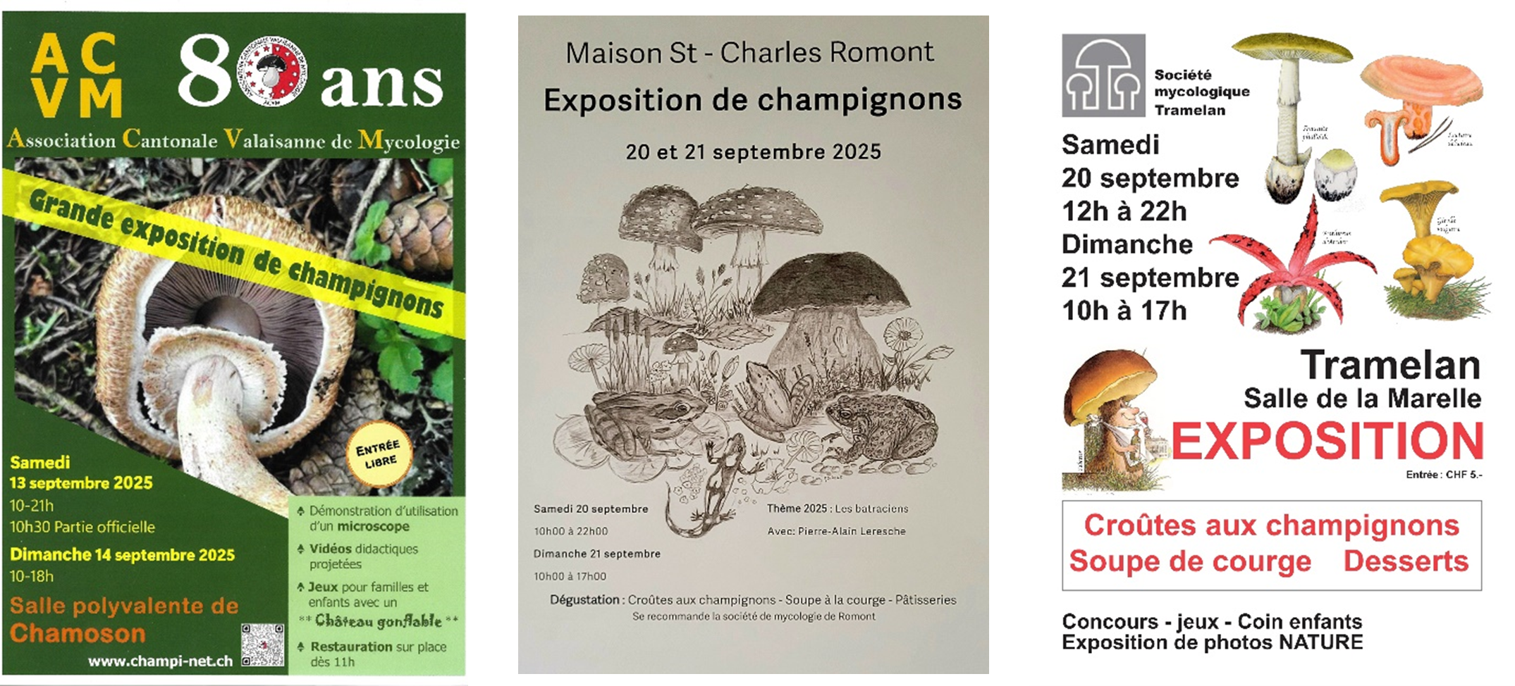 3 Expos