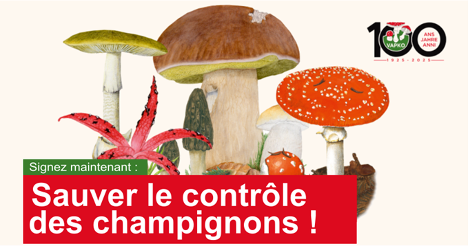 Sauver le contrôle