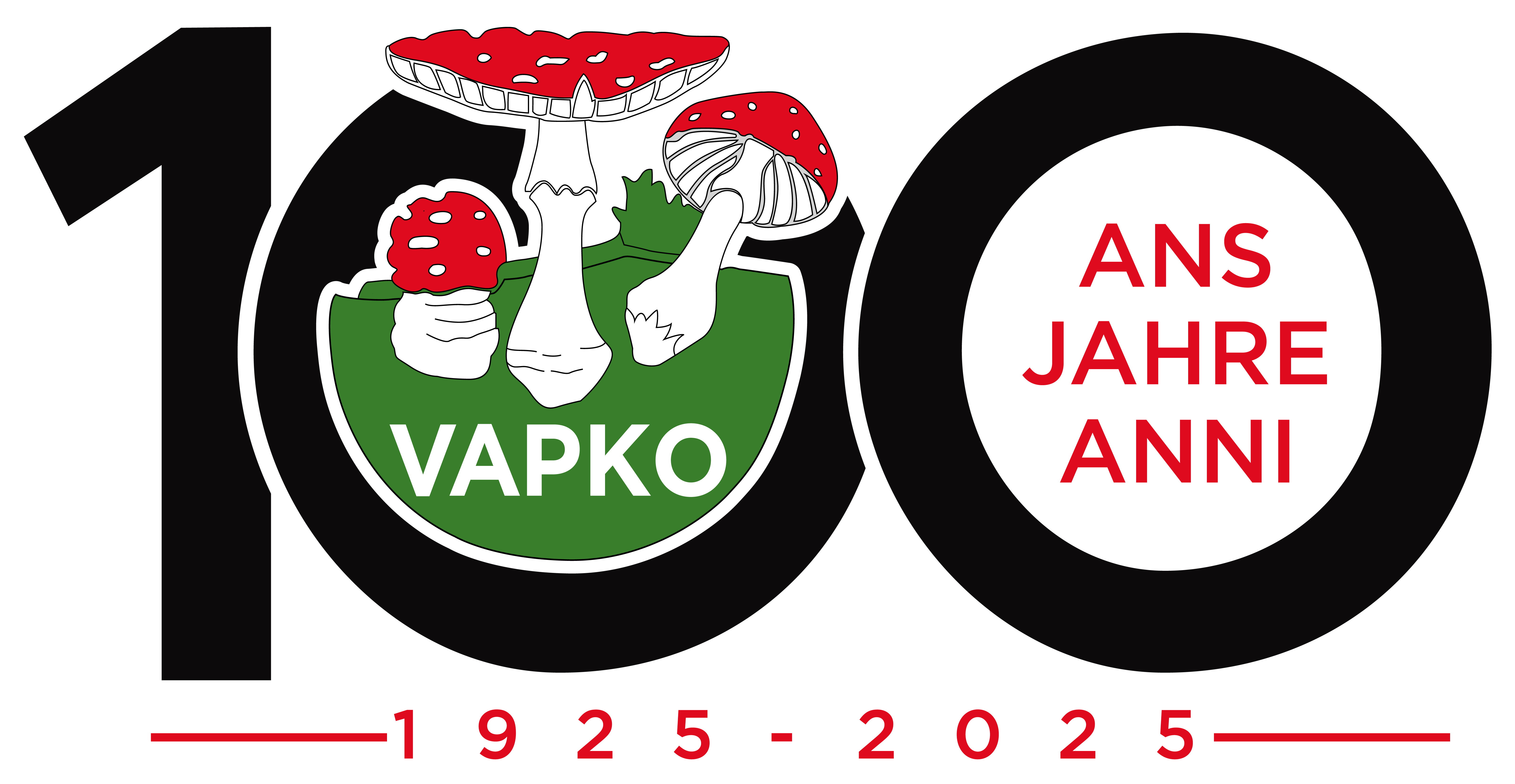 logo 100ans